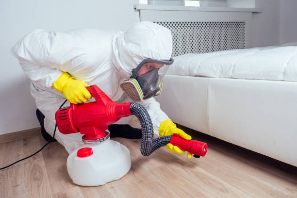Best Affordable Pest Control Services  in Vail, AZ