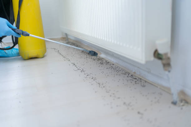 Best Commercial Pest Control Services  in Vail, AZ